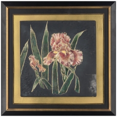 Pink Iris